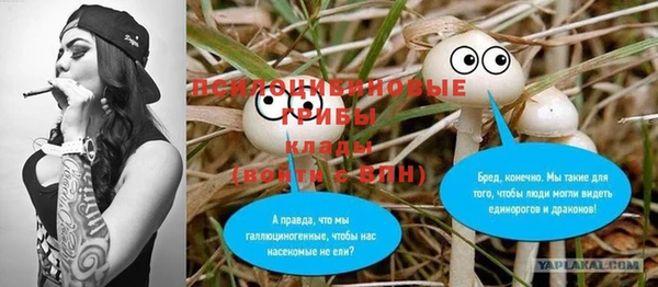 стафф Беломорск